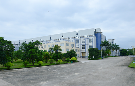 Company Profile